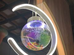 大堂-创新高肥羊火锅(朝阳路店)