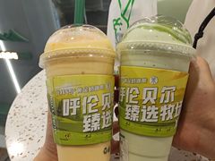 -茉酸奶(春熙路店)