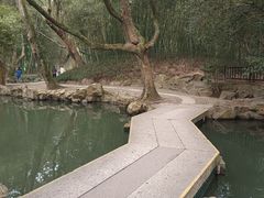 -兰亭风景区