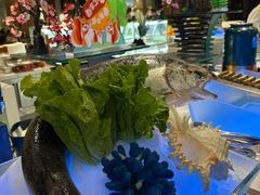 -佛冈森波拉度假区