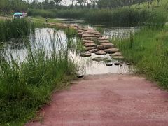 -滨湖塘西河公园