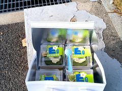 -可丽可丽·生日蛋糕·下午茶(厦门鹭港店)