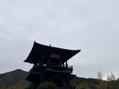 -大唐贡茶院