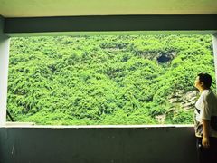 -乌江画廊(彭水苗族土家族自治县)