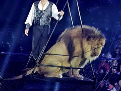 -俄罗斯国家大马戏团