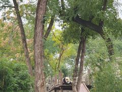 -武汉动物园