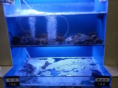 水产区-老虎滩大连海鲜烧烤(建邺云锦路总店)