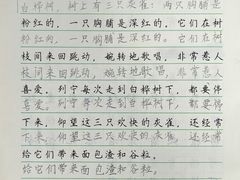 -赵汝飞练字硬笔书法(博泰国际校区)