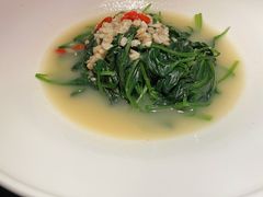 孜然菠菜-桂满陇天书(南京德基旗舰店)