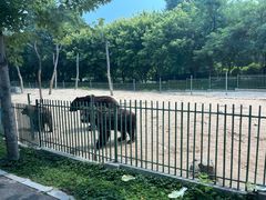 -秦皇岛野生动物园