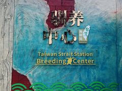 -广东惠东海龟国家级自然保护区