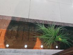 -老头儿油爆虾(星光一期店)