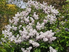 -永定河休闲森林公园