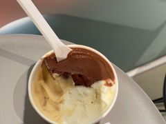 -Dip in Gelato(富民路店)