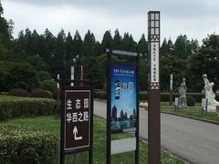 -华西村