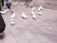 -西安曲江寒窑遗址公园