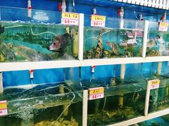 水产区-鑫悦楼煎蟹·16年海鲜大排档