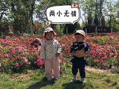 -枫林花海