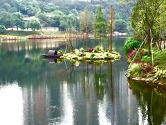 -重庆彩云湖湿地公园
