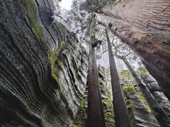 -梭布垭石林景区