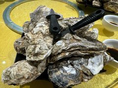 至尊桑拿蚝-天宝食坊·啫啫煲大排档(西华路店)