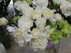 -亭亭鲜花店(中山北路店)