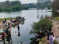 -重庆彩云湖湿地公园