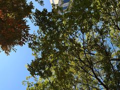 -杭州君悦酒店·青莳