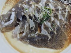 -金龙寨(龙城路店)