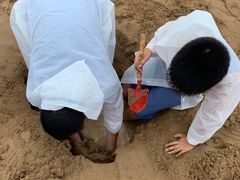 -老虎石海上公园