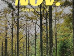 -四明山国家森林公园