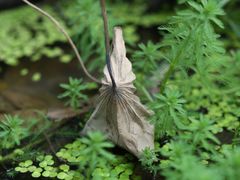 -行人小筑·茶馆(岑村火炉山分店)