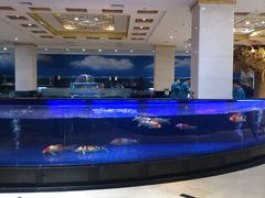-鹏天阁酒楼·海鲜(红旗店)