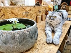 -拾壹cafe·工作室