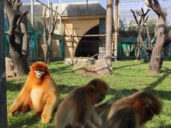 -西安秦岭野生动物园