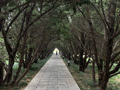 -洛阳古墓博物馆