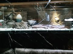 -红辣椒·川菜·火锅(张杨路店)