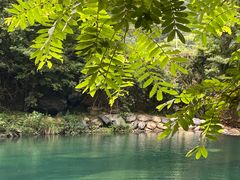 -石台牯牛降景区