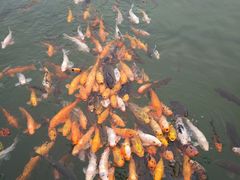 -云南民族大观园