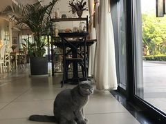 -MOMENT湖景餐厅(解放路店)