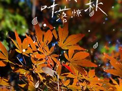 -区行政办公中心5号地块绿地-地下停车场