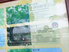-大湾区中央湿地公园