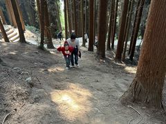 -太阳湾风景区