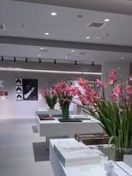 -乐派诗婚纱摄影