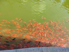 -西海子公园