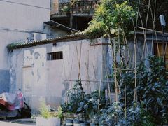 -老字号怡玺·藿香雅鱼(20年雅安店)