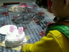 -红宝石(锦华翡翠城翡翠金街店)