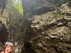 -牛背梁国家森林公园