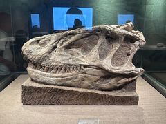 -自贡恐龙博物馆