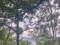 -南丫岛